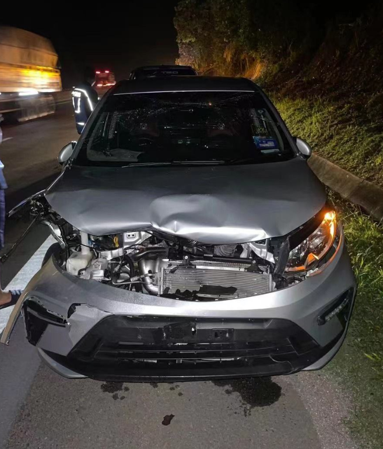 馬來西亞發生私家車撞死老虎罕見交通意外