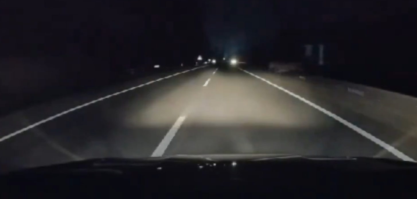 馬來西亞發生私家車撞死老虎罕見交通意外