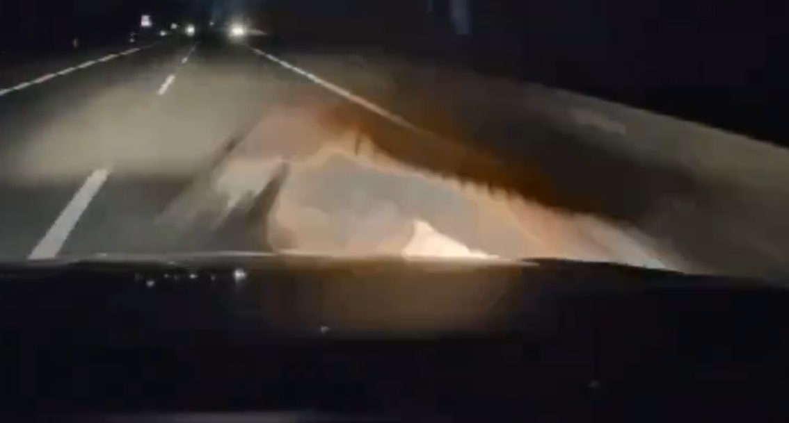 馬來西亞發生私家車撞死老虎罕見交通意外