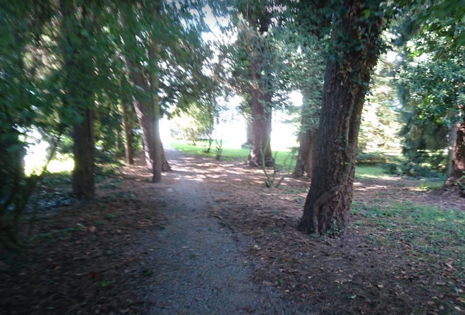 阿爾瑪別墅公園(Villa Alma Park)。(互聯網)