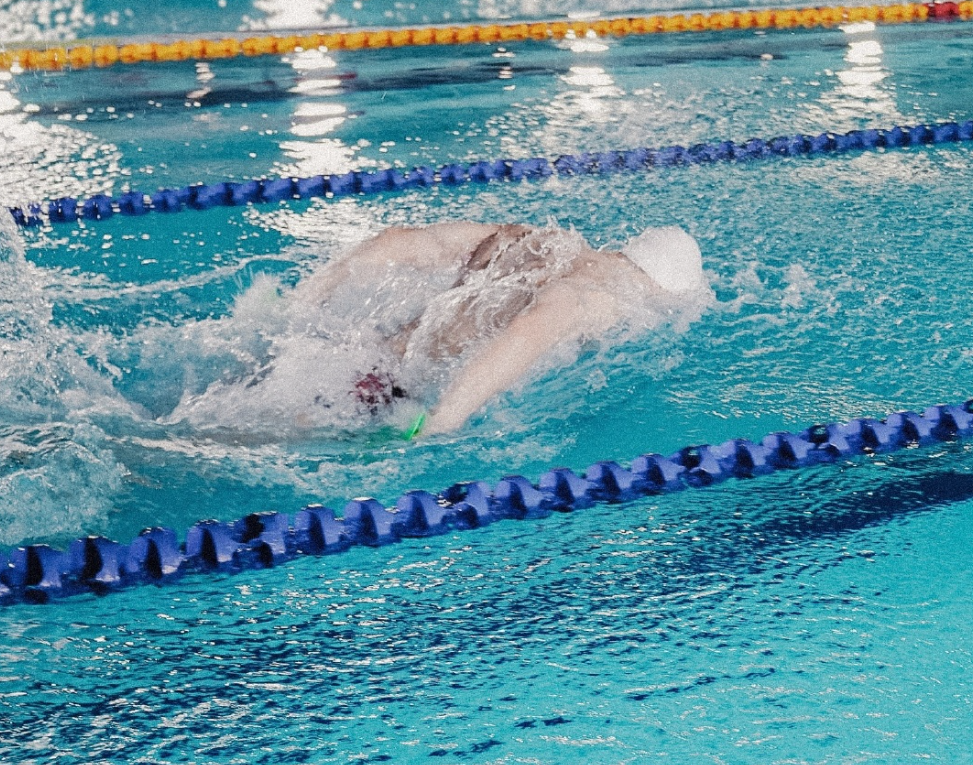 32歲的孫楊確認會復出參賽(孫楊微博)