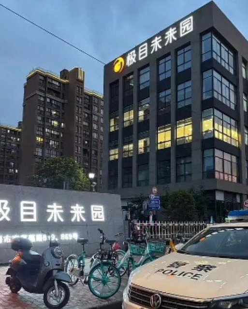 極目科技突然解散