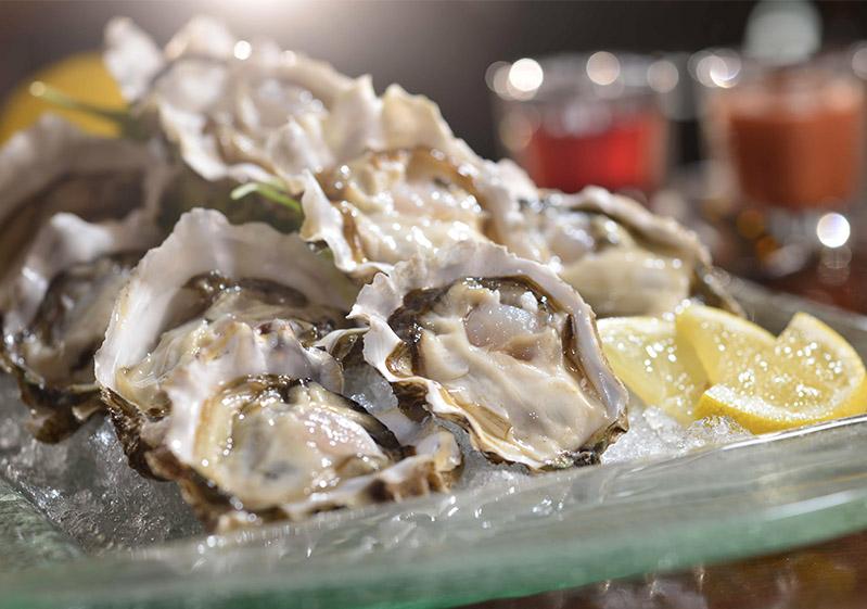 都會海逸酒店生日優惠