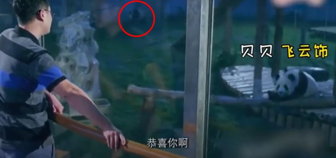 電視劇中未獲角色。(微博)