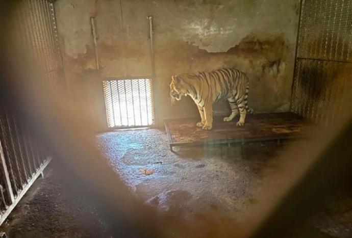 《中國慈善家》報道相片。(微博)