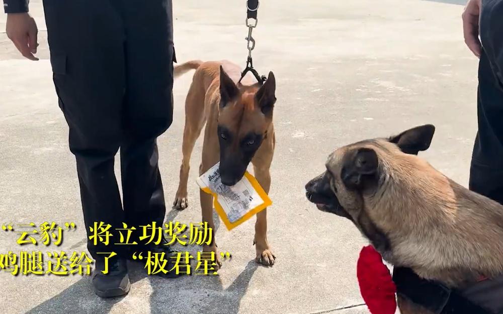緝毒犬「雲豹」將自己的獎勵轉贈祝賀極君星榮休。(微博)