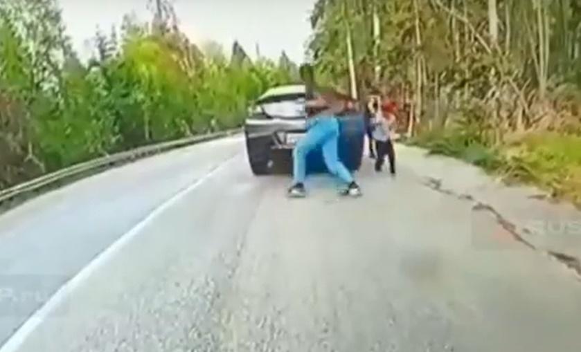 一顆高大的樹木突然倒下,各人隨即紛紛逃跑。(IG)