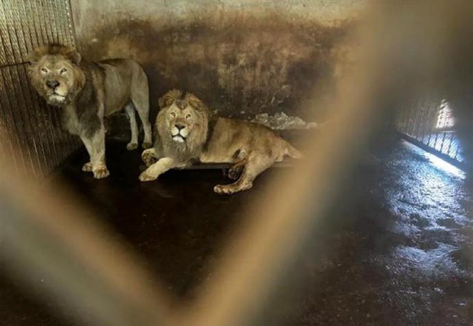 《中國慈善家》報道相片。(微博)