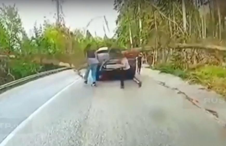 頭戴紅帽的男童卻閃避不及,不幸遭樹幹重擊頭部,當場慘死。(IG)