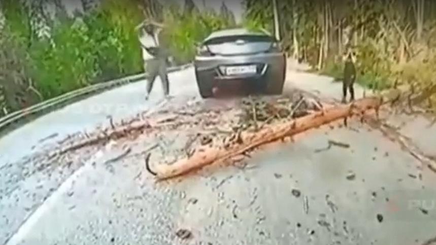 其家人衝上前想查看男童,卻見其遺體慘不忍睹,近乎崩潰。(IG)