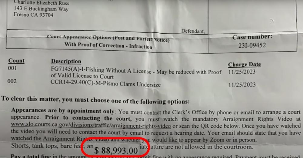 Charlotte事後收到一張近8.9萬美元的罰款單,令她非常震驚。(YouTube)