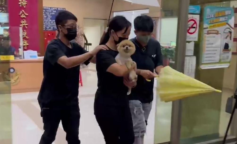 「糯米」隨後由陳姓大女兒接走。(網上圖片)