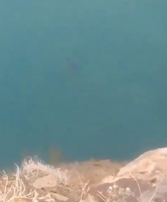 他落水不久後溺水開始掙扎,在短短十數秒後失去知覺,浸落湖底。(X)