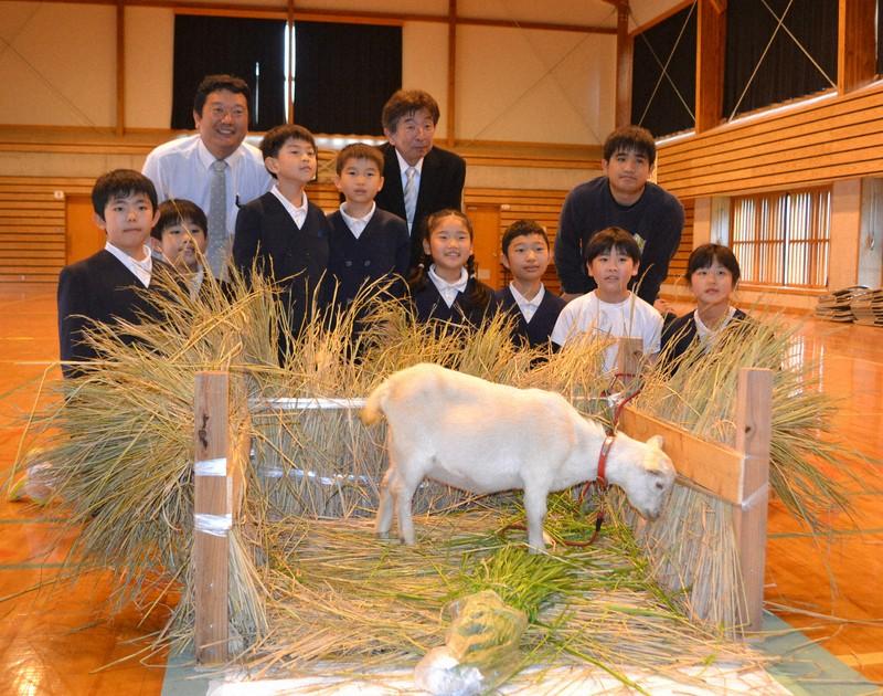 校方決定乾脆招一隻山羊來當大家的新同學。(網上圖片)