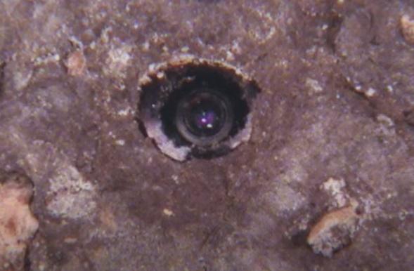 直徑約1厘米的鏡頭。(YouTube)