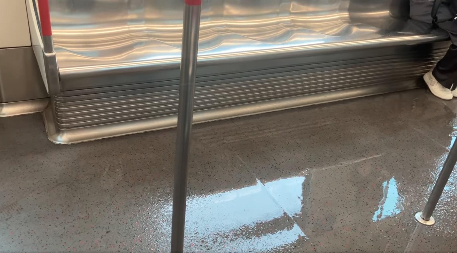 網上熱話|港鐵東涌綫車廂變「水舞澗」。(網片截圖)
