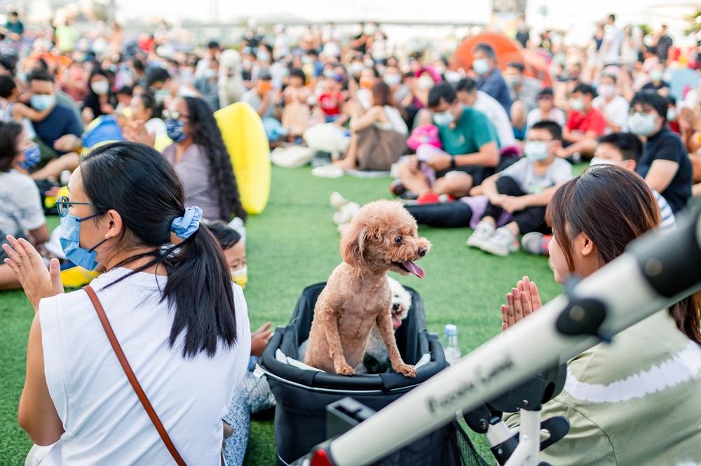 Connect Fest '24@灣仔夏誌‧有「妳」真好─寵愛篇