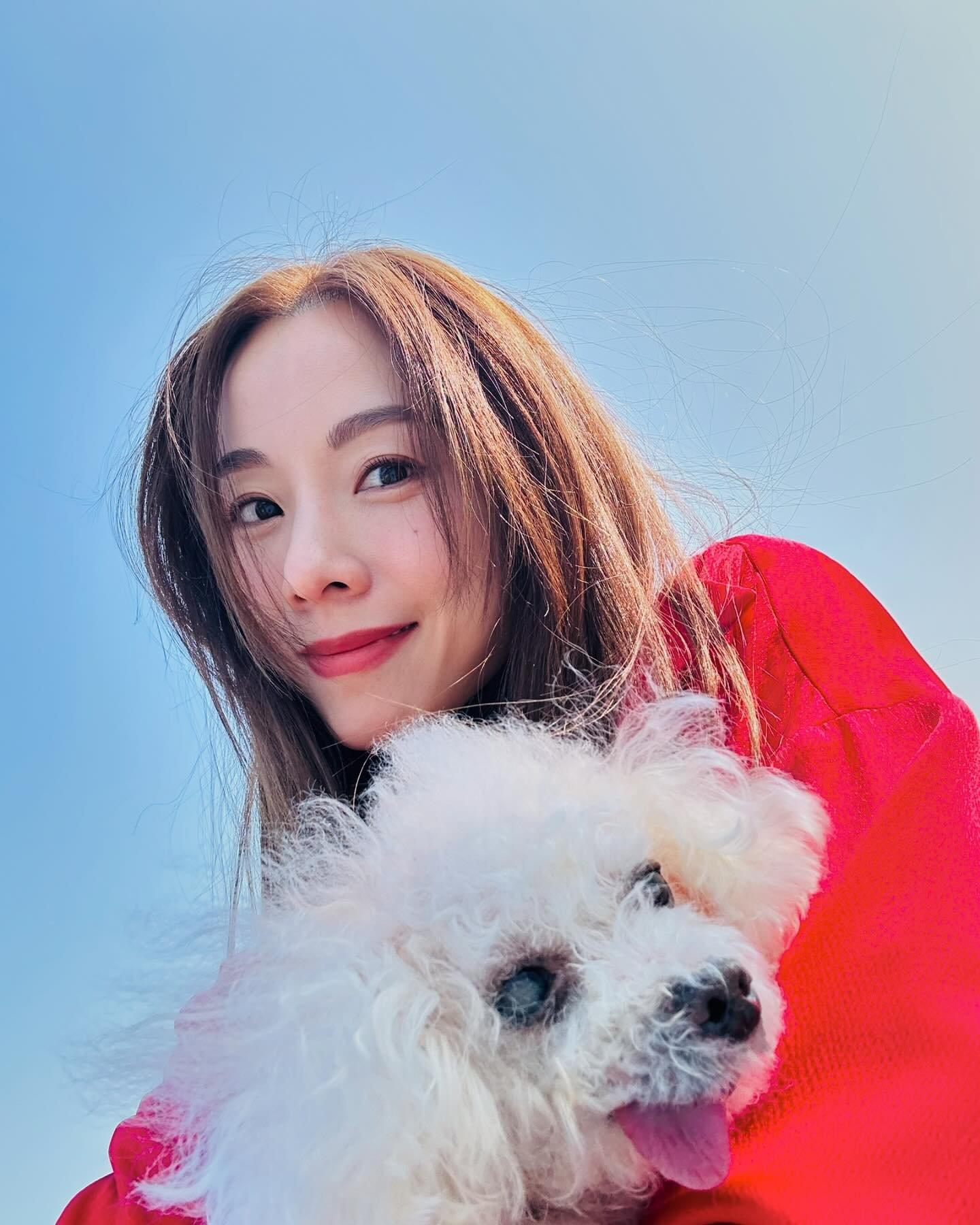 鄧麗欣Stephy近年人氣不減。(鄧麗欣Stephy IG)