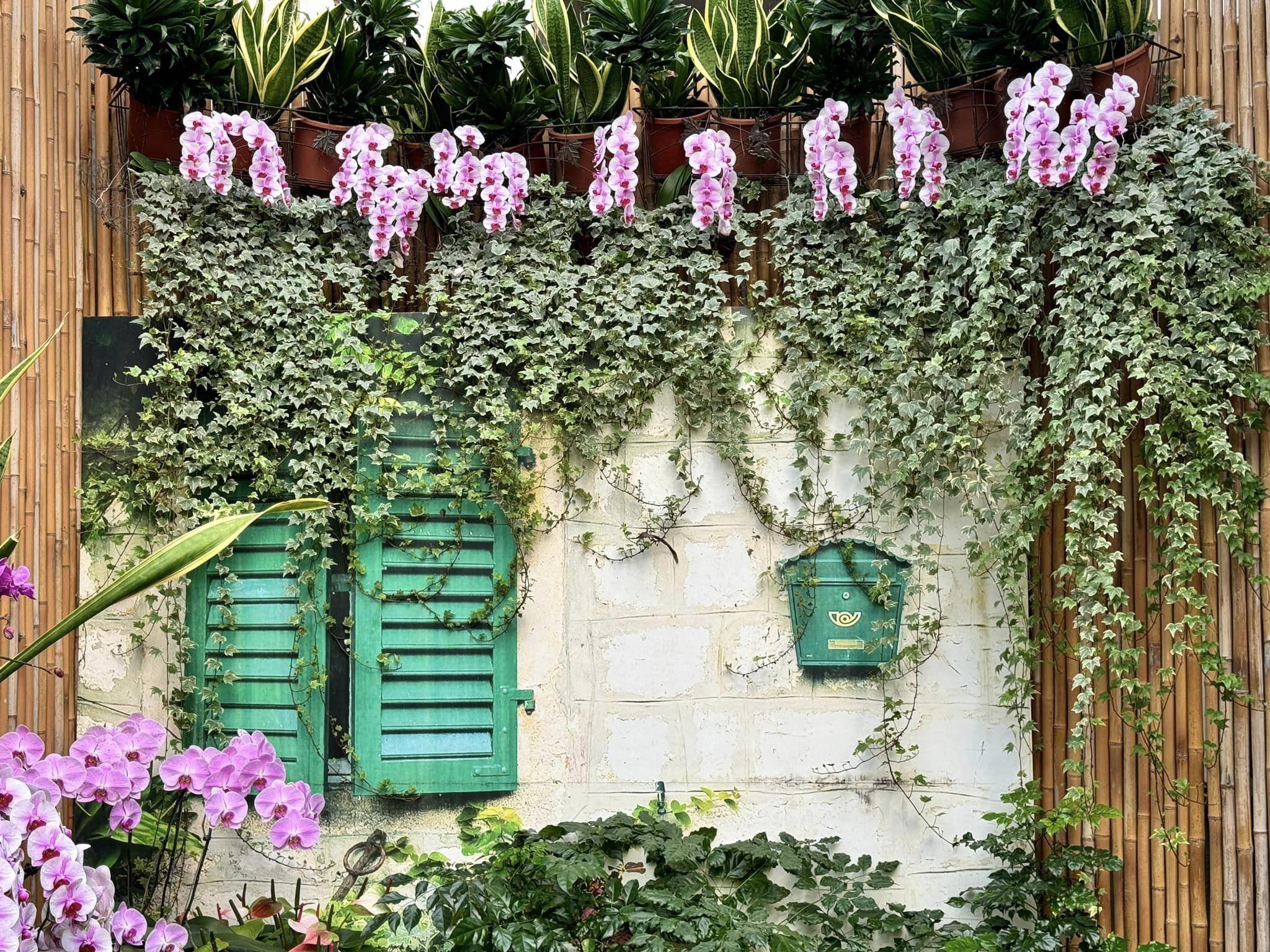 (照片來源:花露農場 FlowerHome facebook專頁)