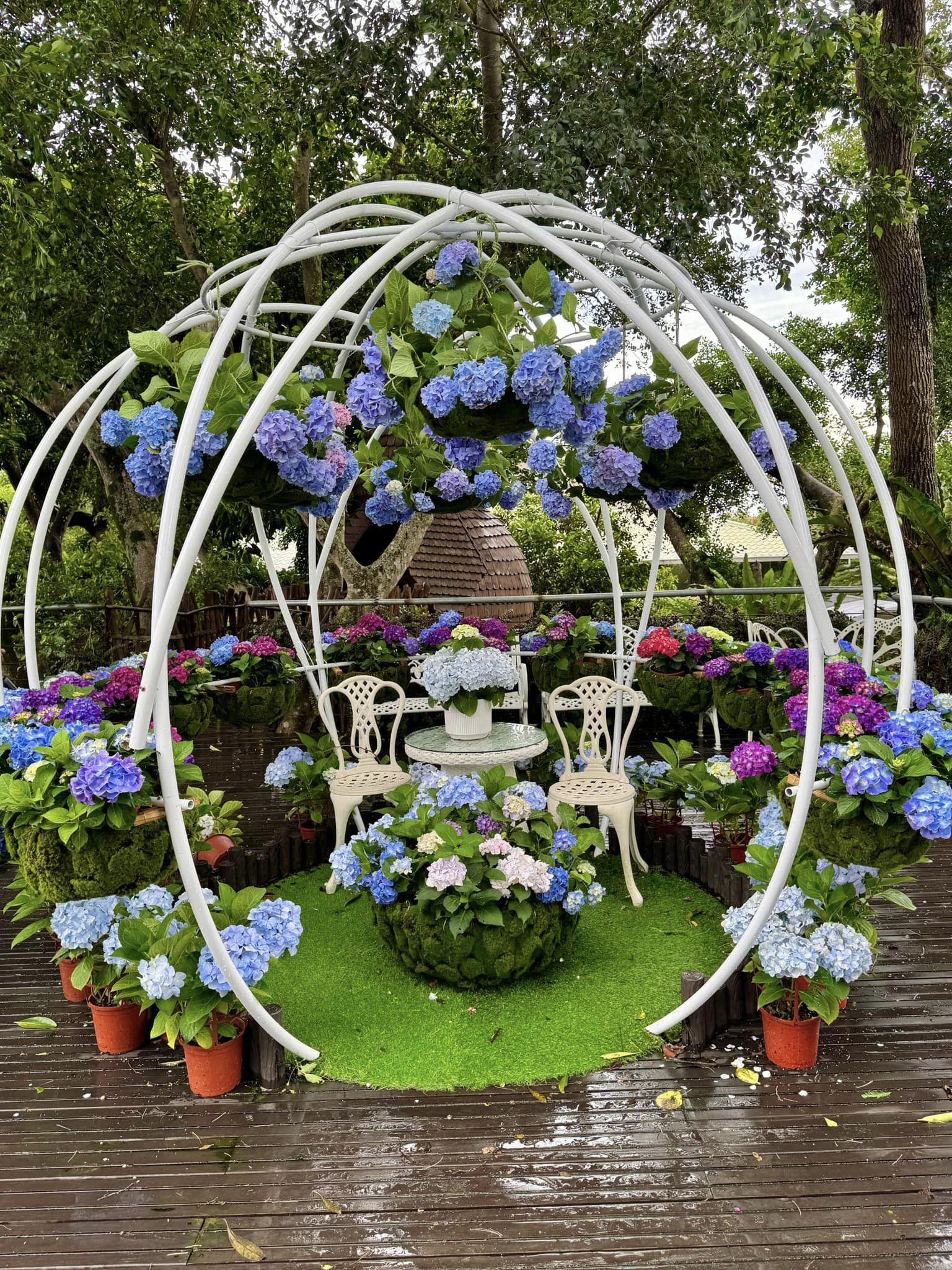 (照片來源:花露農場 FlowerHome facebook專頁)