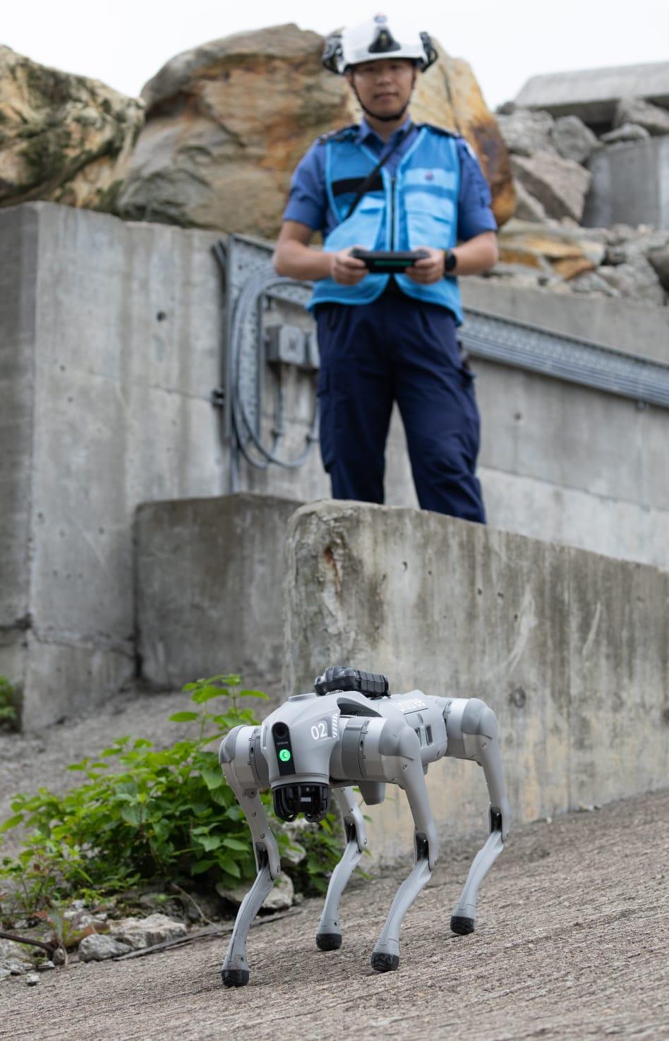 民安隊舉行大型演習。(蘇文傑攝)