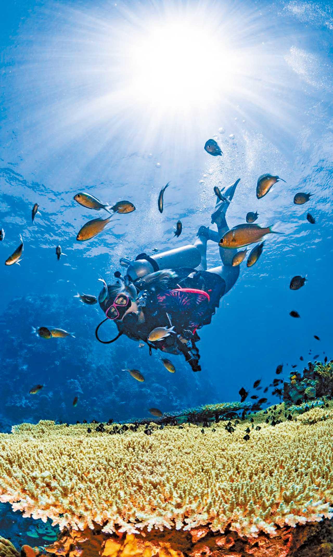 迎夏旅遊玩樂專輯