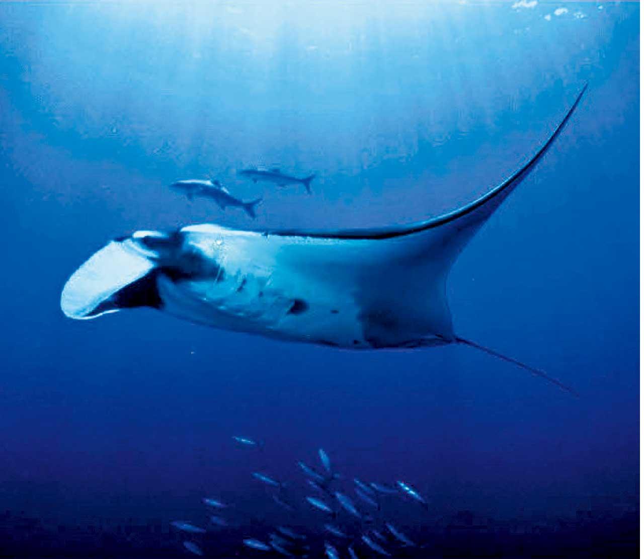 迎夏旅遊玩樂專輯