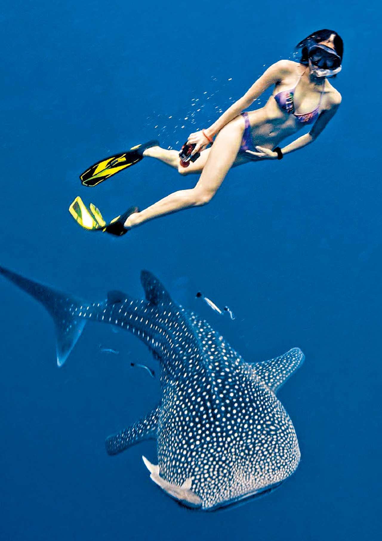 迎夏旅遊玩樂專輯