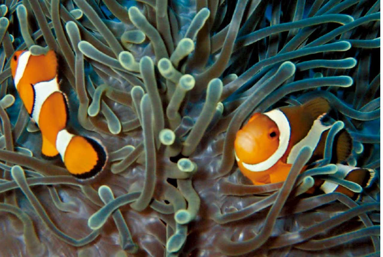 迎夏旅遊玩樂專輯