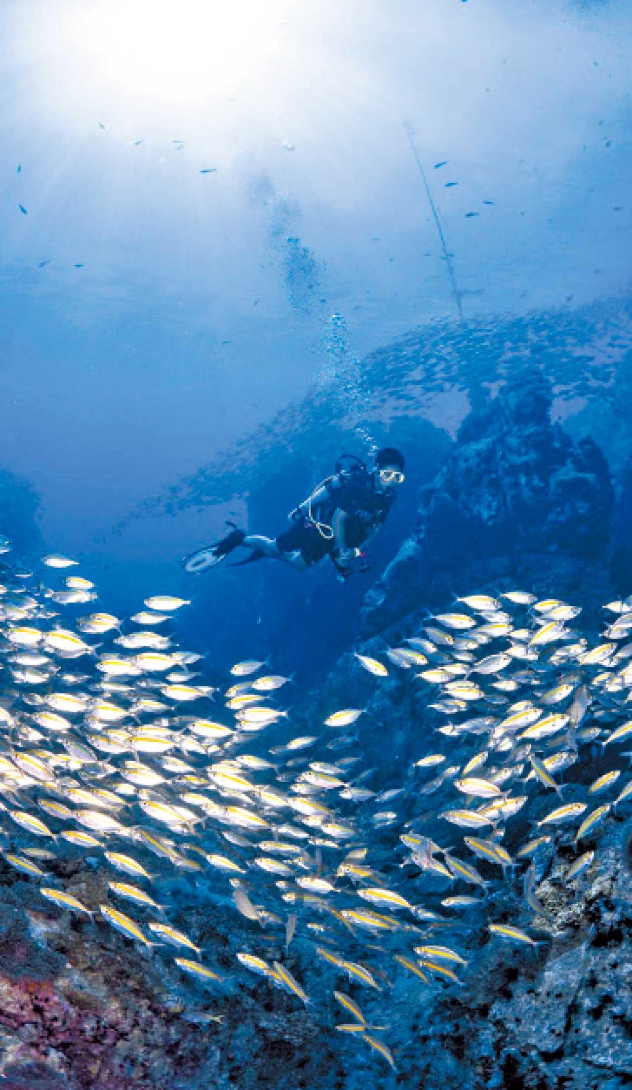 迎夏旅遊玩樂專輯