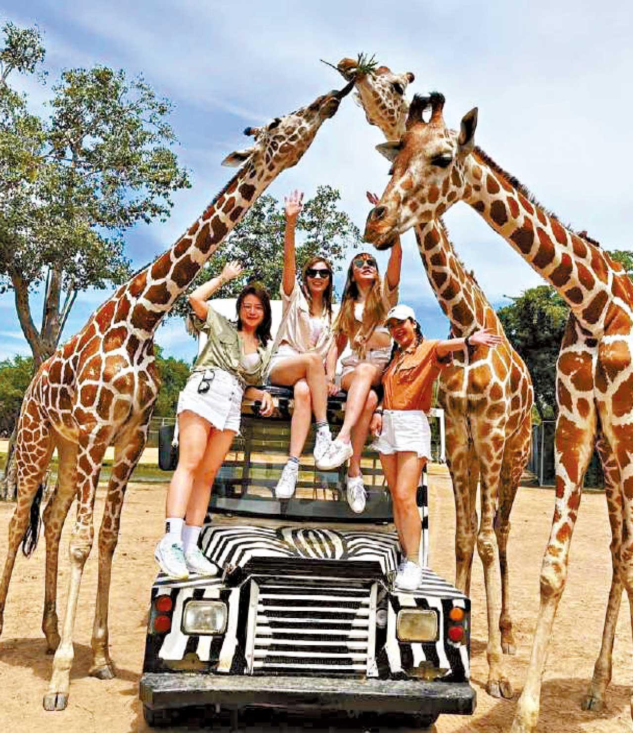 迎夏旅遊玩樂專輯