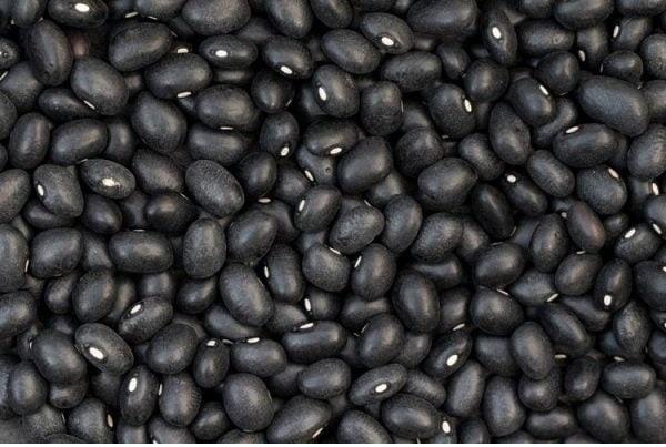 黑豆