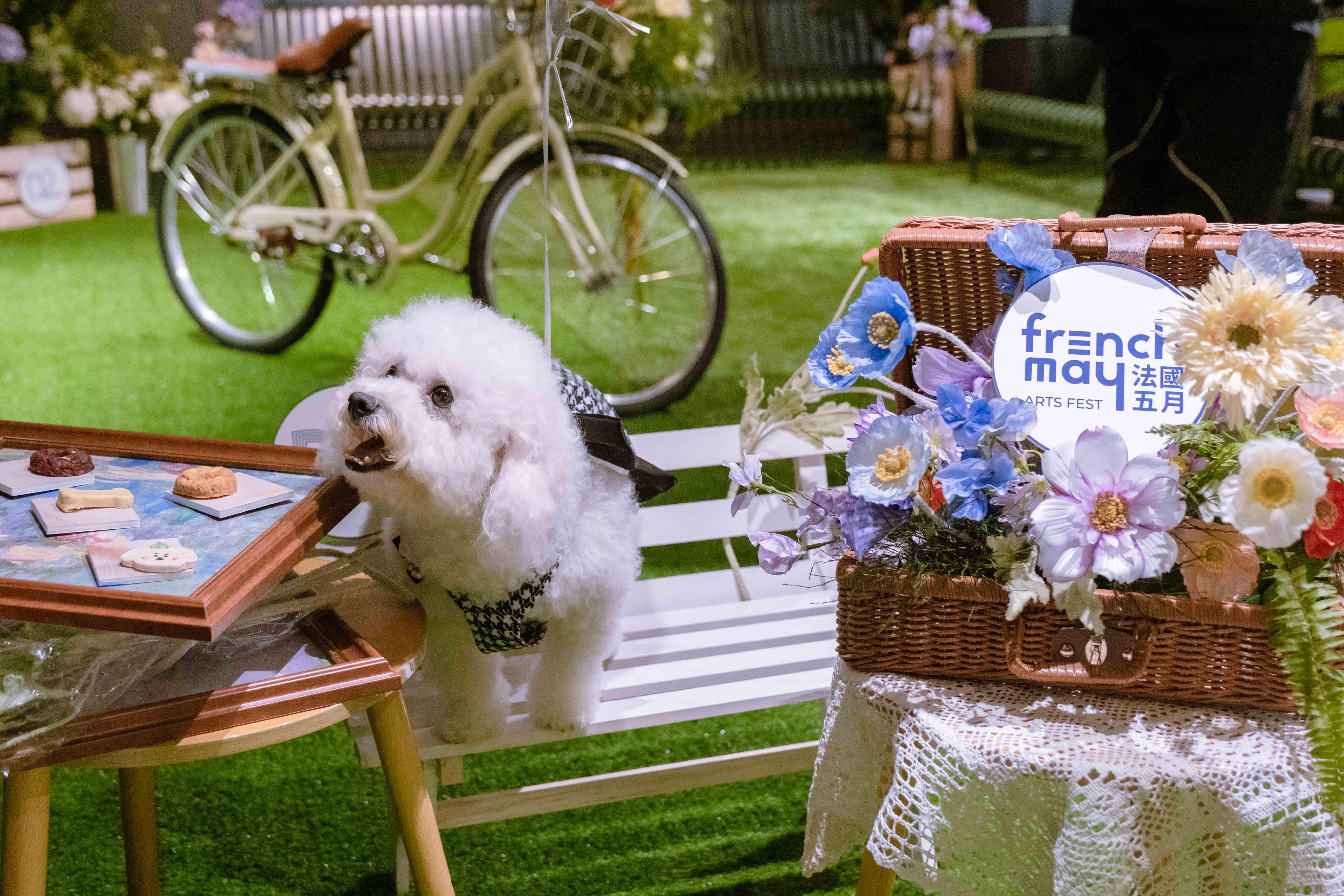 5月26日周日更特意舉辦一日限定毛孩專屬法式下午茶派對。