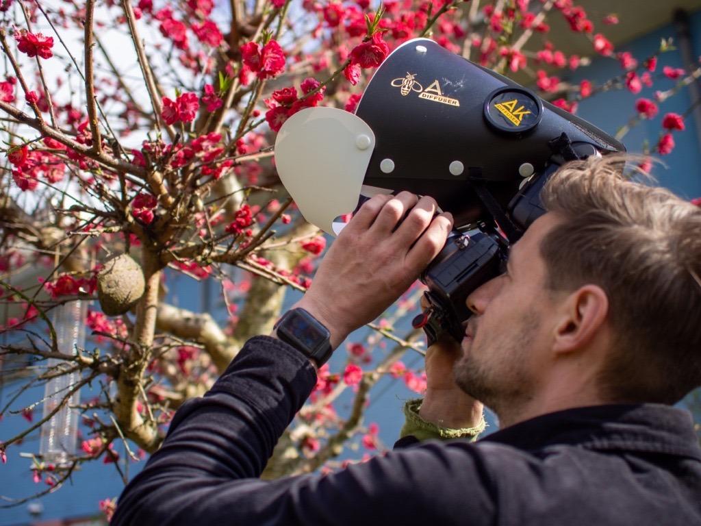 Guerlain特別與以拍攝昆蟲特寫聞名的Joris Vegter合作