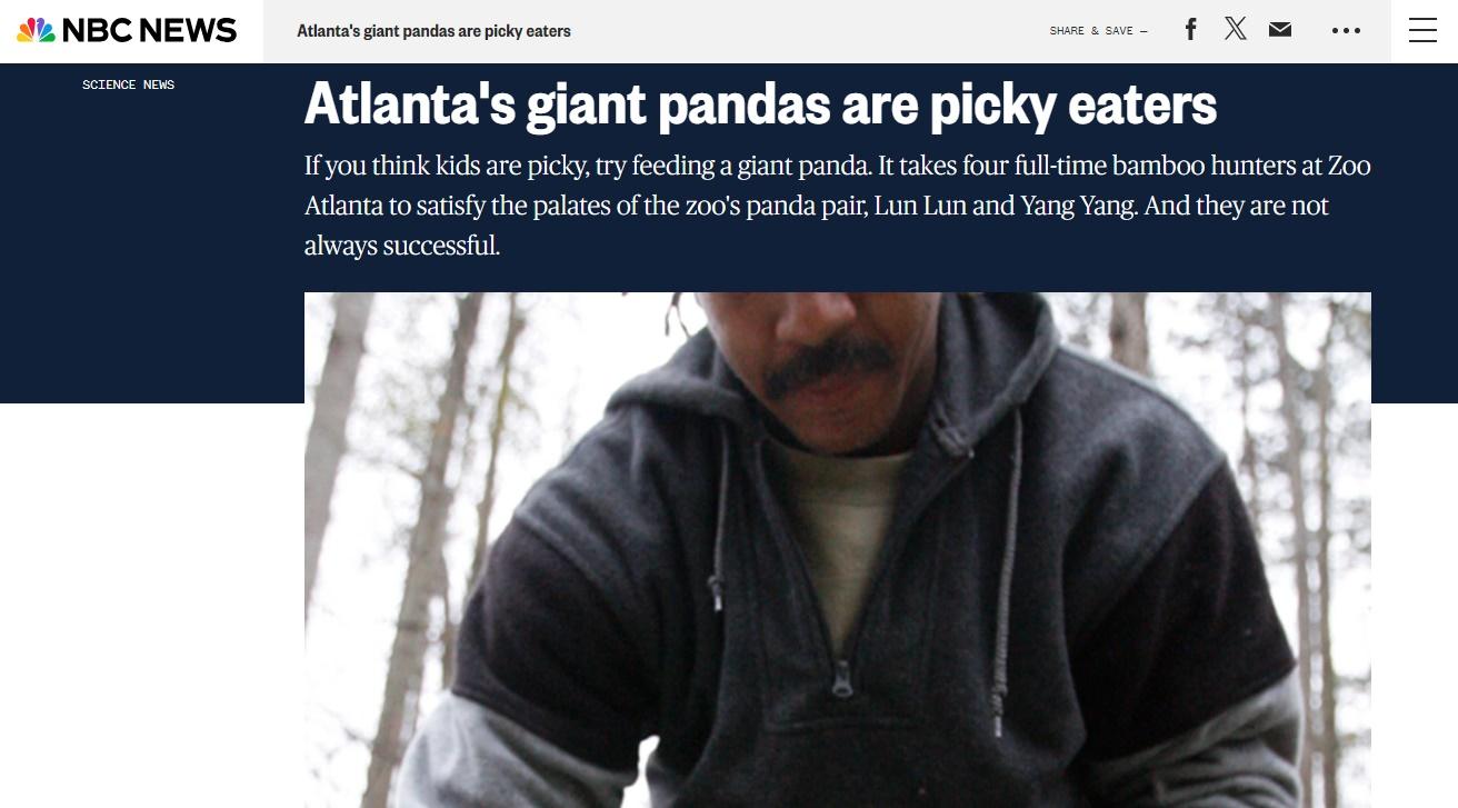 NBC當年報道有關園方聘請了4名採竹工人(Bamboo Hunter)。