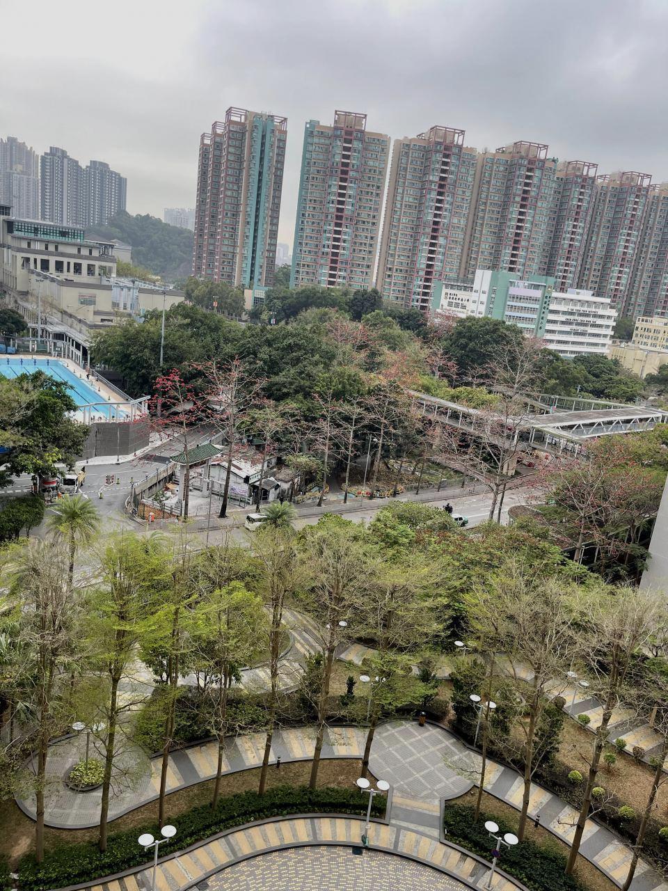 單位大廳和睡房均可享園景,視野開揚恬靜。(代理提供)