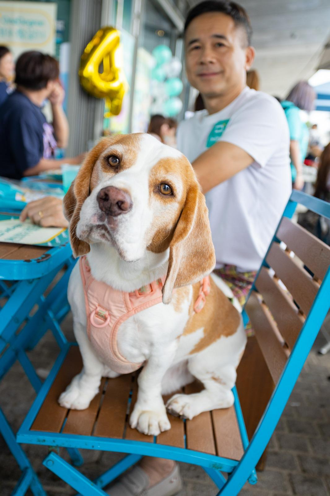 OneDegree全港唯一CEO Plan並設全港唯一癌症現金保障,若寵物不幸患癌,可獲提供港幣1萬元的現金賠償,不限用途。