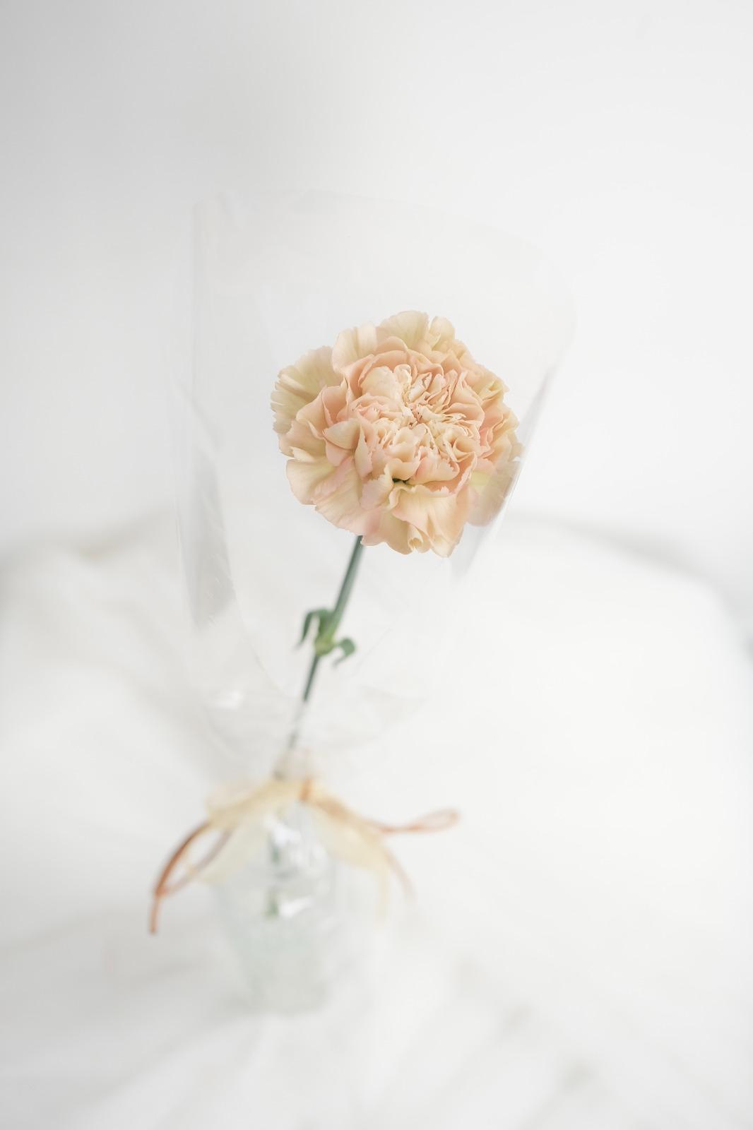 【母親節主題活動】母親節單日限定|贈送康乃馨 向媽媽聊表心意