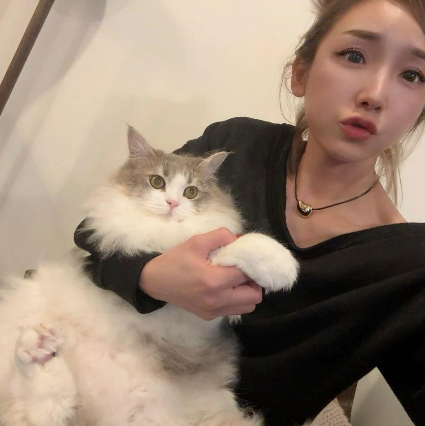 日本女團Morning娘前成員加護亞依IG不定期更新新況。