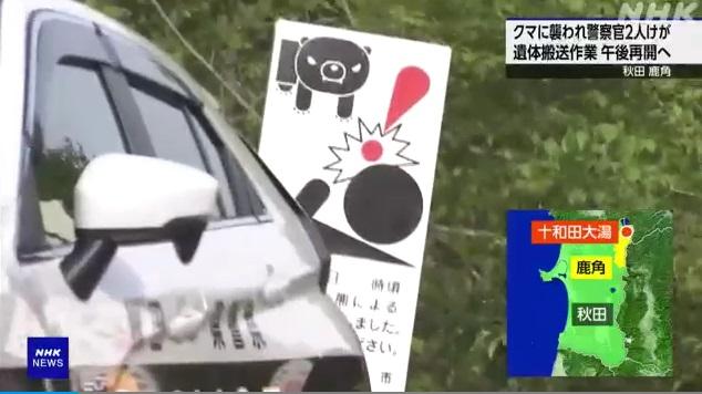 警方豎立提防熊隻襲擊人類告示牌。(互聯網)