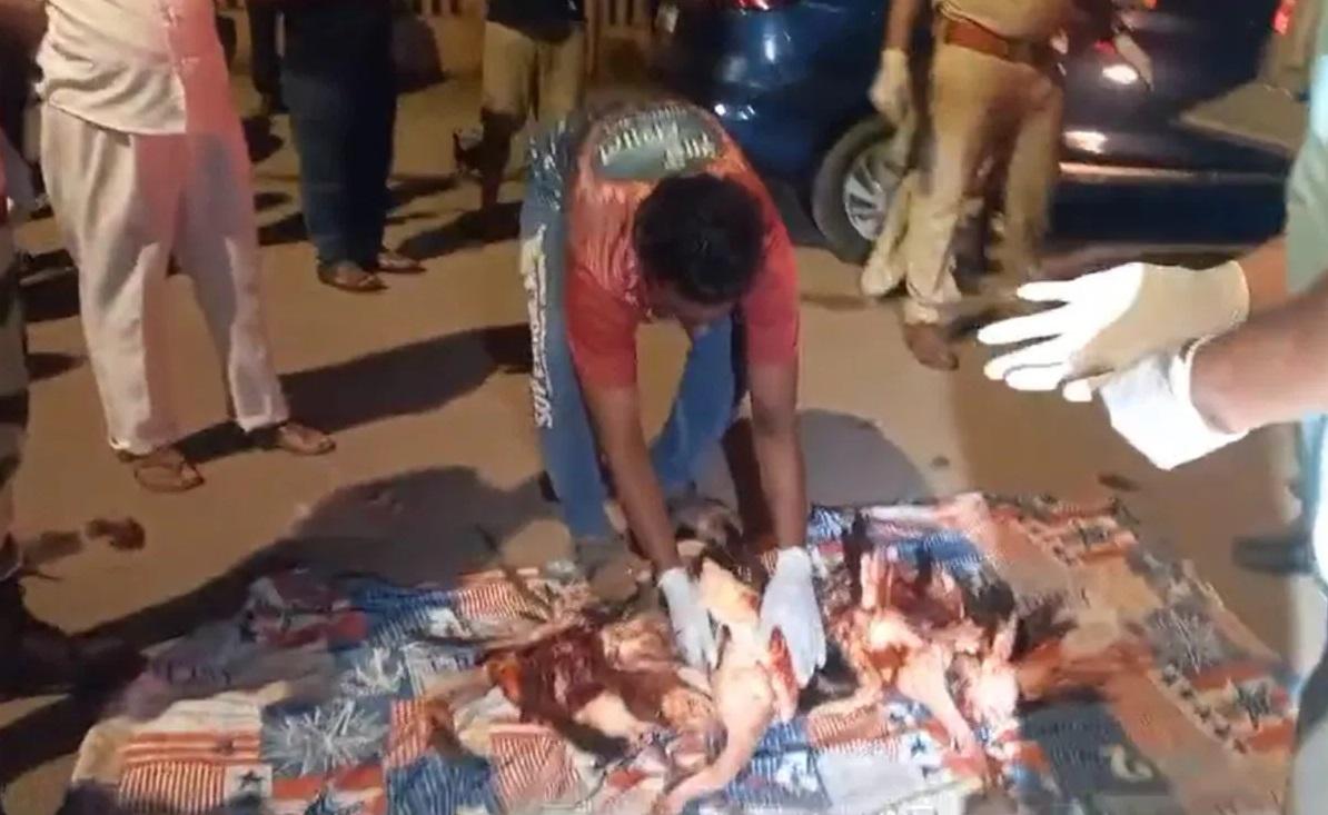 工作人員處理紅鶴屍體。(互聯網)