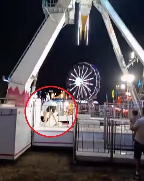 小狗走上機動遊戲平台,特謝拉衝上去救狗。(互聯網)