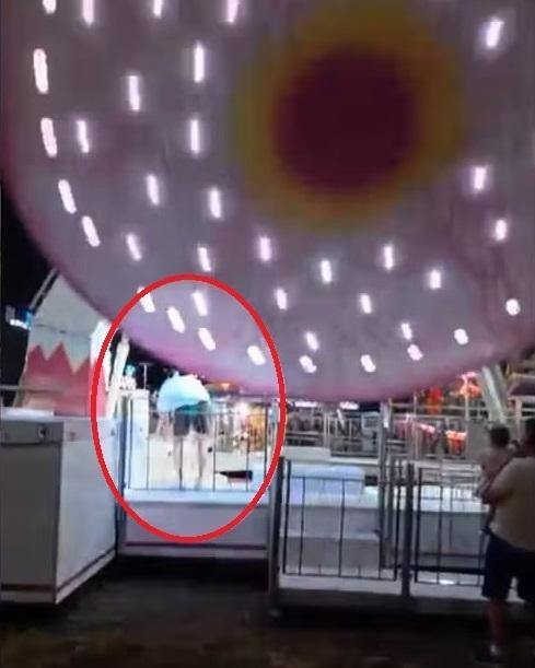 特謝拉衝上機動遊戲平台救狗,但小狗不配合。(互聯網)