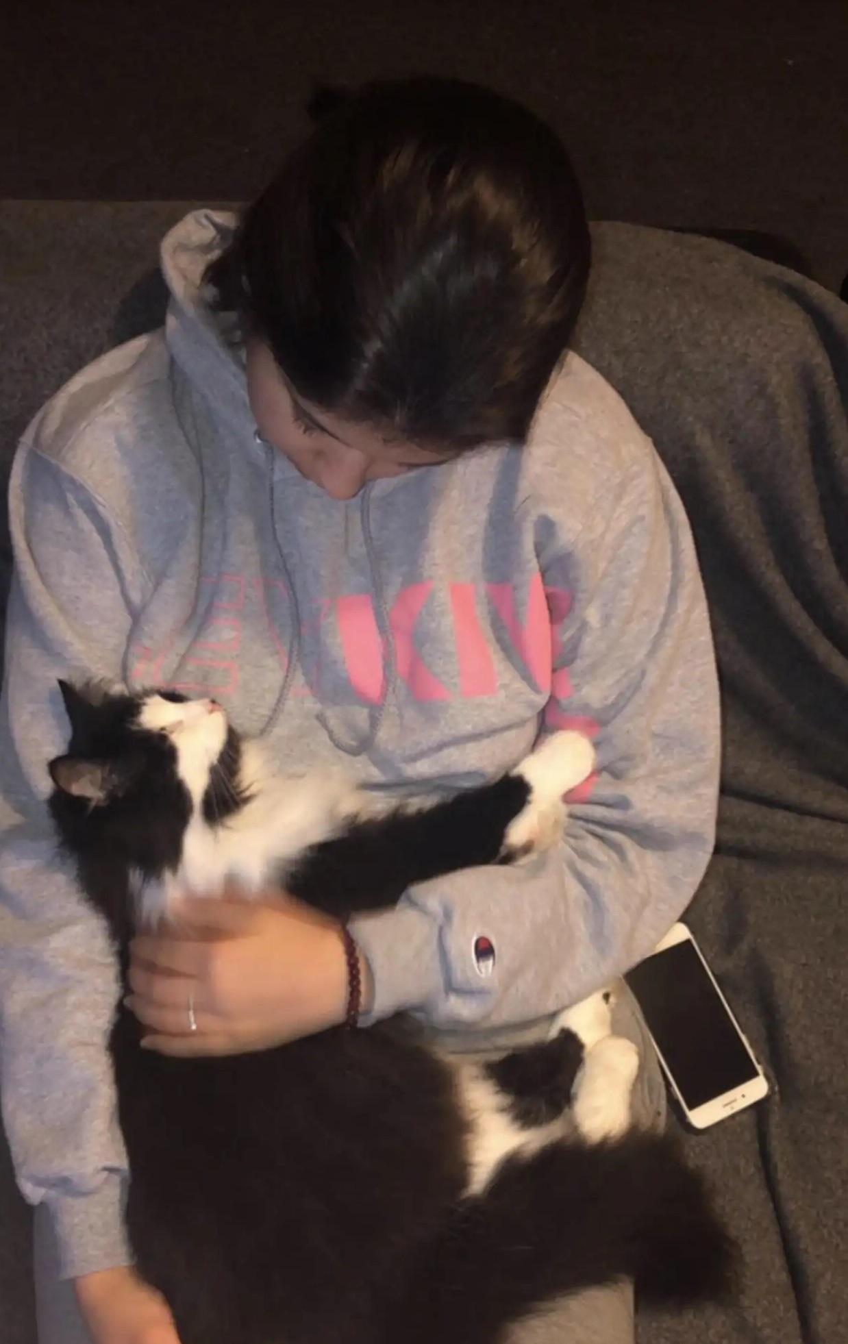 妮科爾好錫貓咪Gato。(互聯網)