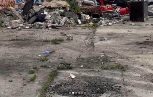 小狗原本的家已成廢墟。(互聯網)