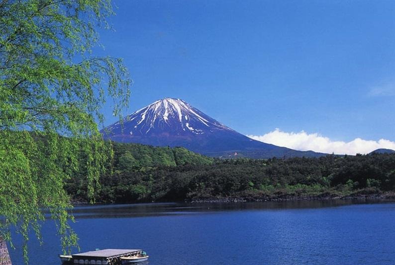 富士山西湖景色。(互聯網)
