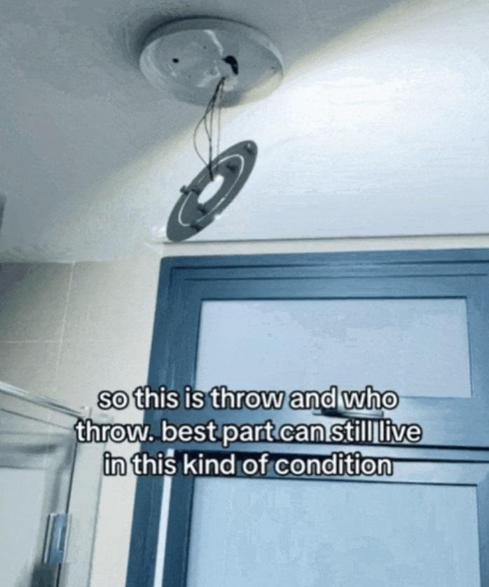 廁所燈泡甩掉。(互聯網)