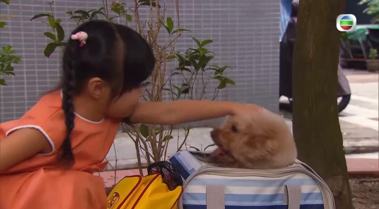 Celine與009是10年前劇集《愛我請留言》的好拍檔。