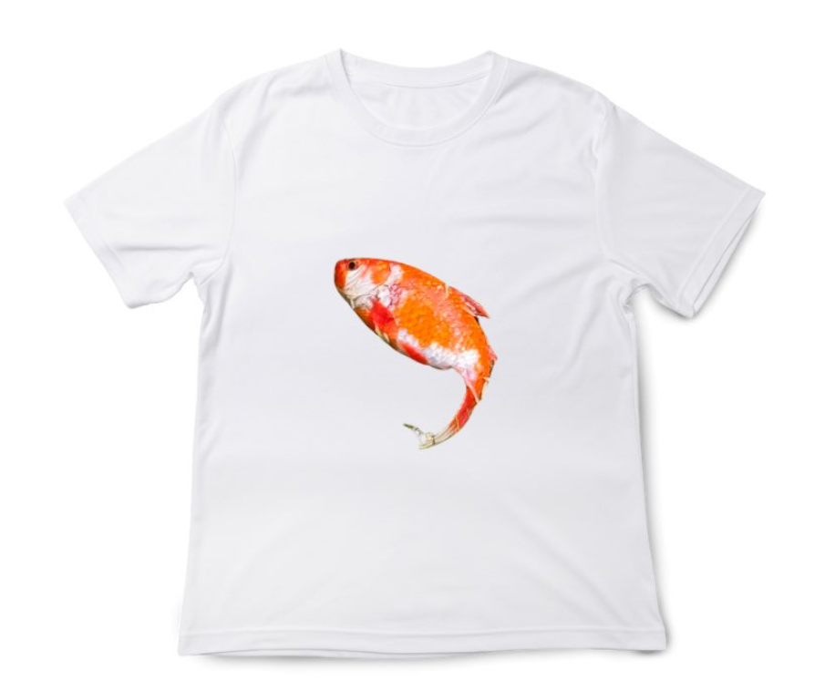 有網民為「金魚Alice」設計商品。(互聯網)