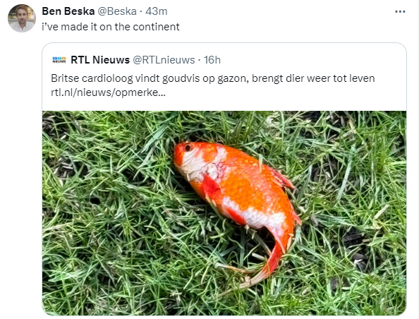 Beska對消息已傳遍歐洲感到難以置信。(互聯網)